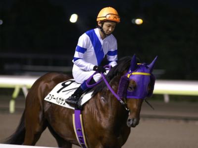 ファイル 10-2.jpg