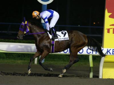 ファイル 10-3.jpg