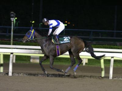 ファイル 10-4.jpg