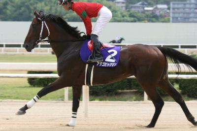 ファイル 102-2.jpg