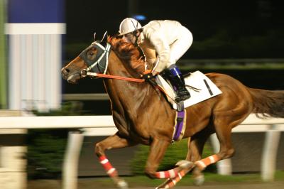 ファイル 103-1.jpg