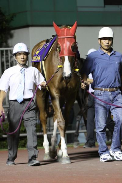 ファイル 104-3.jpg