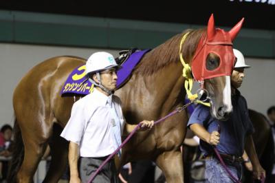 ファイル 104-4.jpg