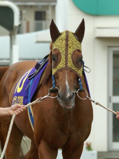 ファイル 106-3.jpg