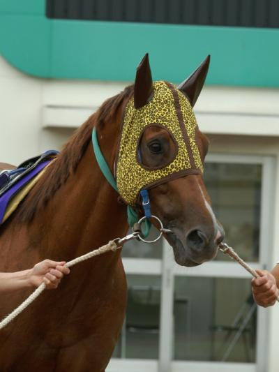 ファイル 106-4.jpg