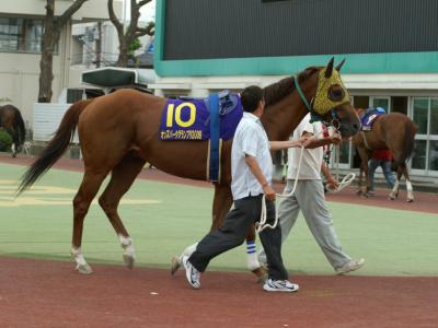 ファイル 106-5.jpg