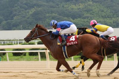 ファイル 109-1.jpg