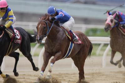 ファイル 110-3.jpg