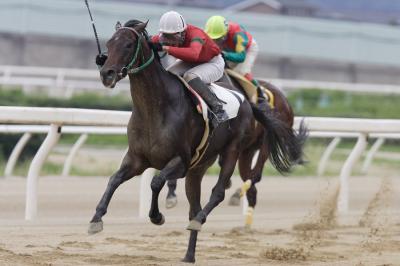 ファイル 111-1.jpg