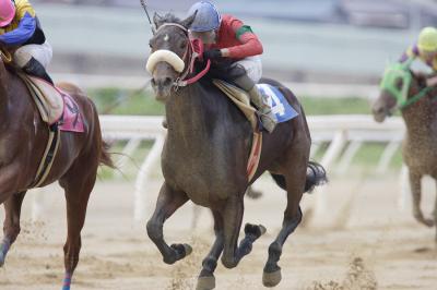 ファイル 111-2.jpg