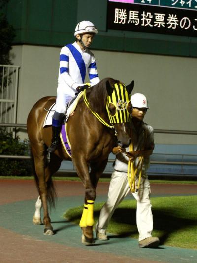 ファイル 112-2.jpg