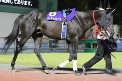 ファイル 114-1.jpg