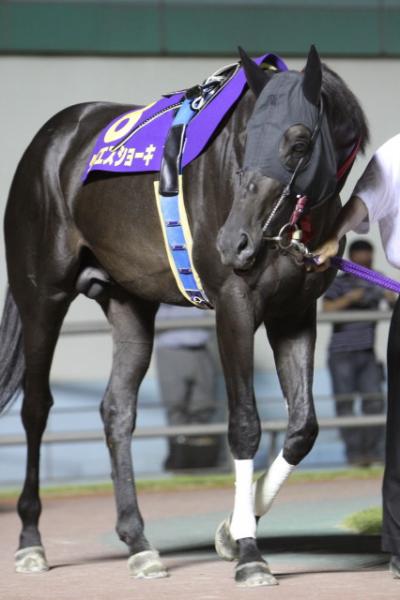 ファイル 114-3.jpg