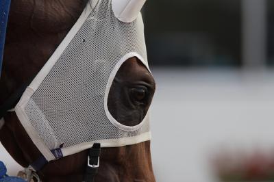 ファイル 115-3.jpg