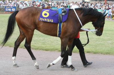 ファイル 116-1.jpg