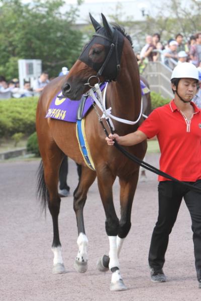 ファイル 116-2.jpg