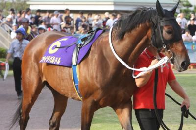 ファイル 116-3.jpg