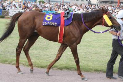 ファイル 117-1.jpg