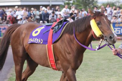 ファイル 117-3.jpg