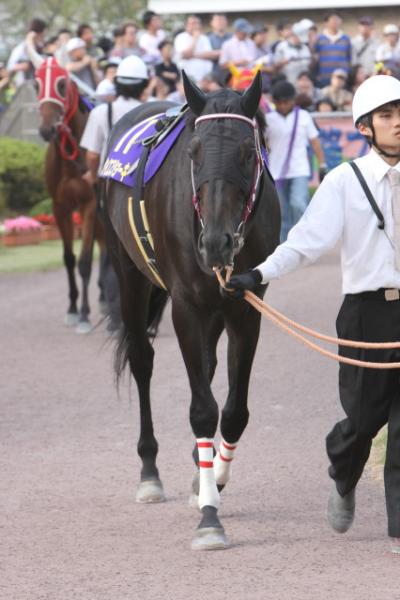 ファイル 118-2.jpg