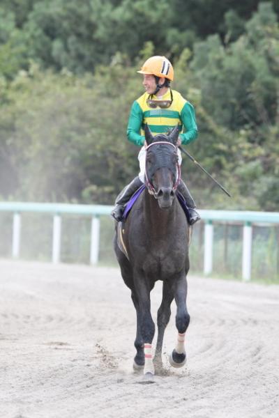 ファイル 119-1.jpg