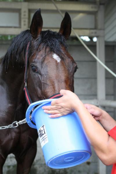 ファイル 119-4.jpg