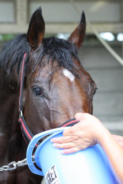 ファイル 119-5.jpg