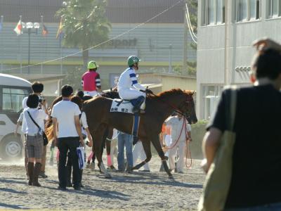 ファイル 123-5.jpg