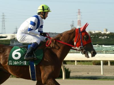 ファイル 131-3.jpg