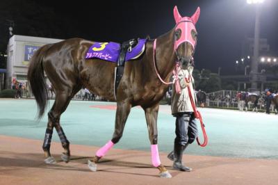 ファイル 132-2.jpg