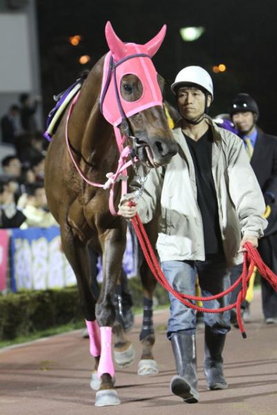 ファイル 132-5.jpg