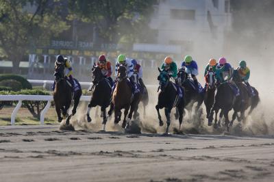 ファイル 134-1.jpg