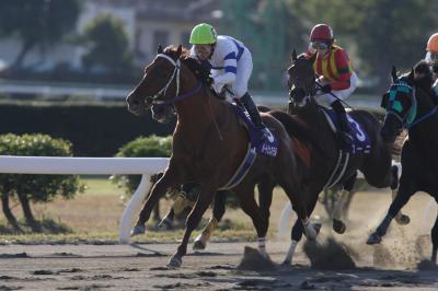 ファイル 134-2.jpg