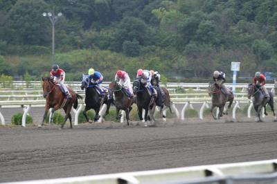 ファイル 14-1.jpg