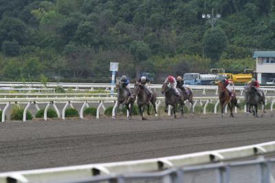 ファイル 14-2.jpg