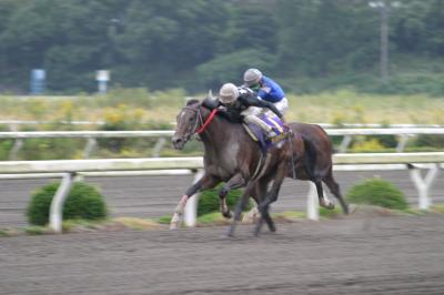 ファイル 14-3.jpg