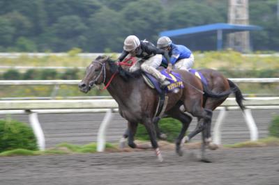 ファイル 14-4.jpg