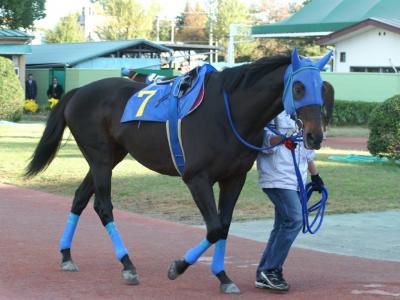 ファイル 140-1.jpg