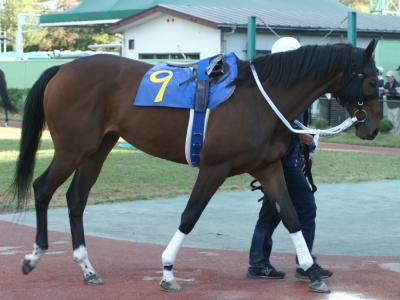 ファイル 141-3.jpg