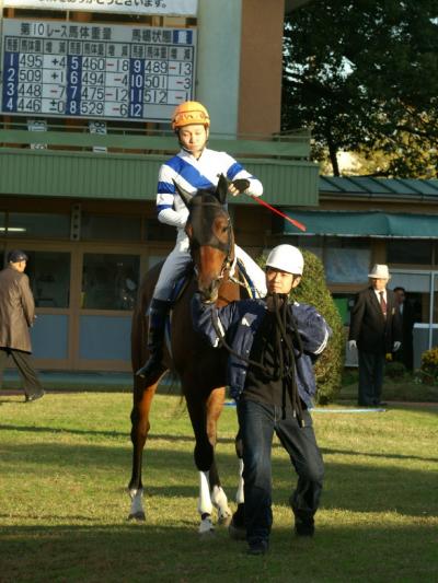 ファイル 141-4.jpg