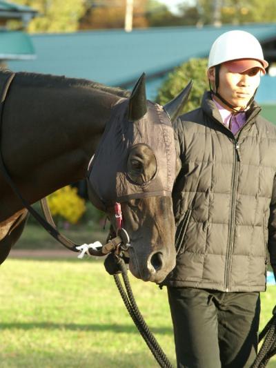 ファイル 142-3.jpg