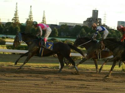 ファイル 143-1.jpg