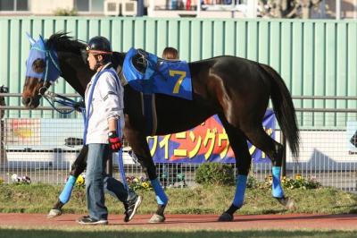 ファイル 144-1.jpg