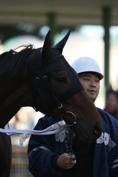 ファイル 144-5.jpg