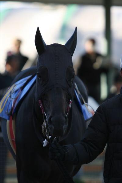 ファイル 145-1.jpg