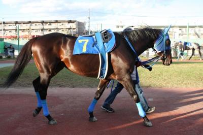 ファイル 145-2.jpg