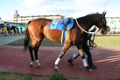 ファイル 145-3.jpg