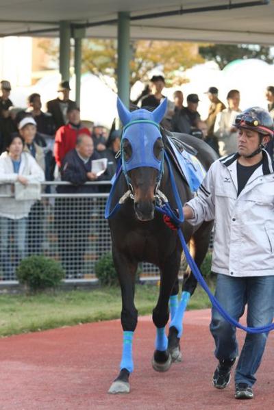 ファイル 145-5.jpg