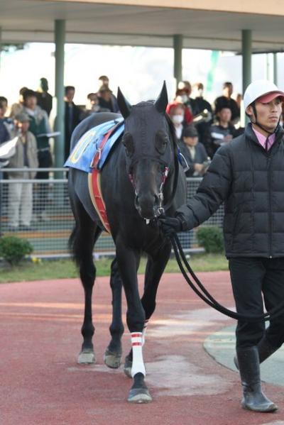 ファイル 146-2.jpg