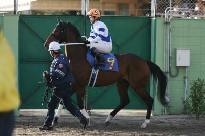 ファイル 146-4.jpg